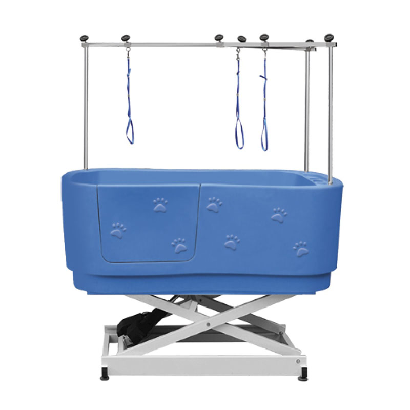 Electric Blue Grooming вана